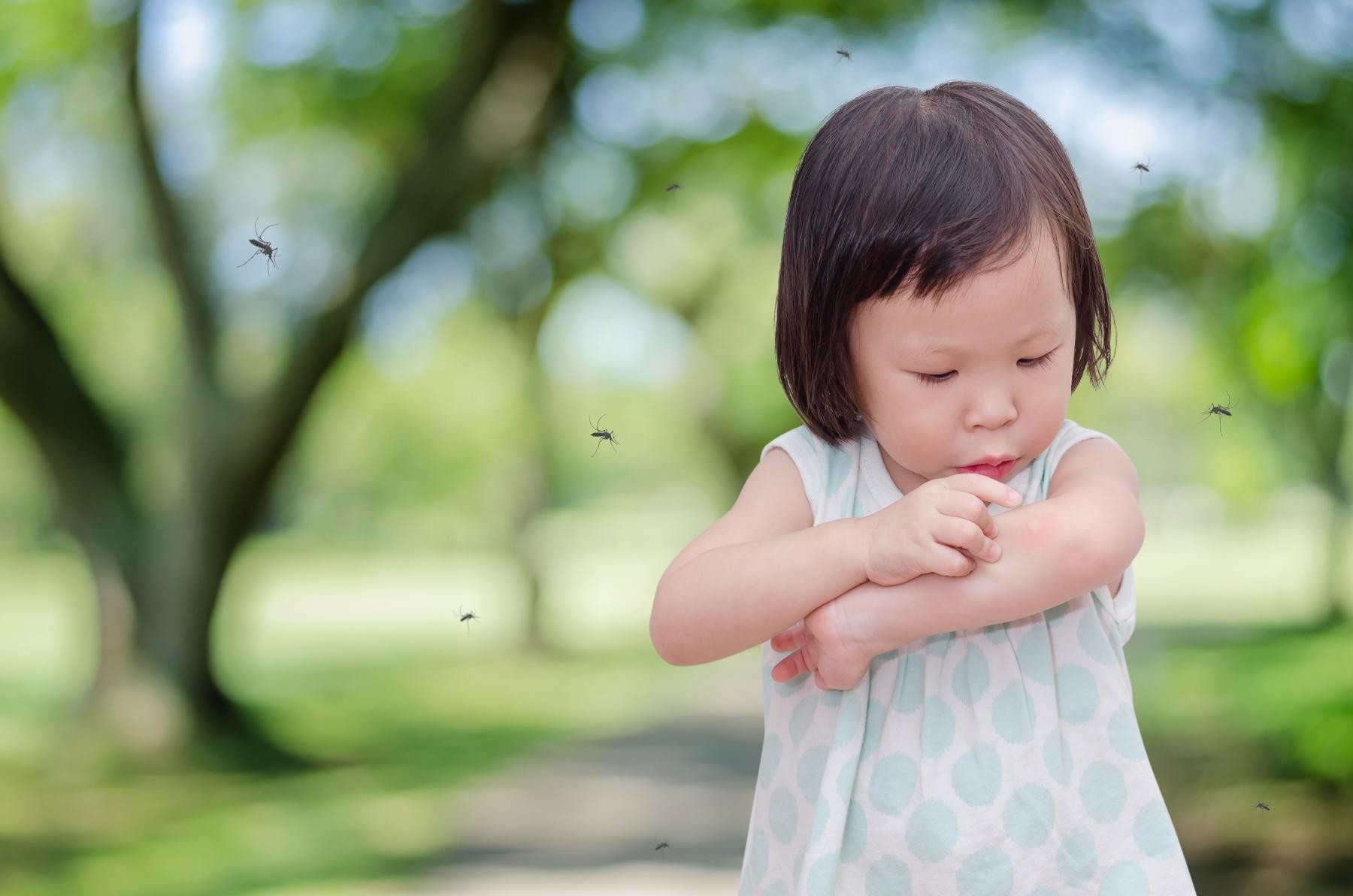 mua xịt đuổi muỗi cho bé nên chọn thành phần thảo dược