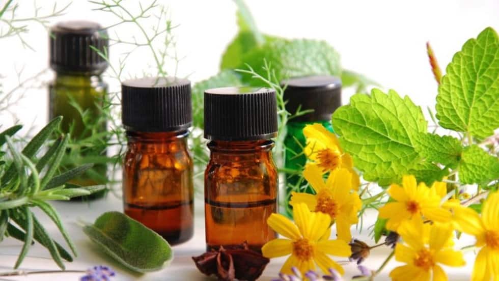 tinh dầu thiên nhiên đuổi côn trùng